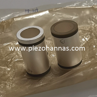 Piezoelektrischer Wandler aus weichem Material mit Piezo-Keramikrohr für Echosounder