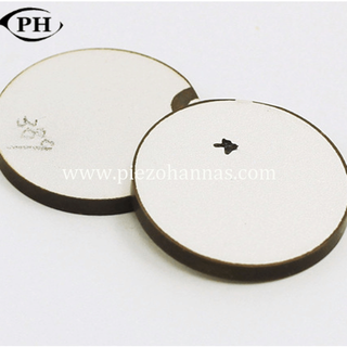 5 x 0,2 mm Mini-Piezo-Keramikscheiben für die Milchanalyse