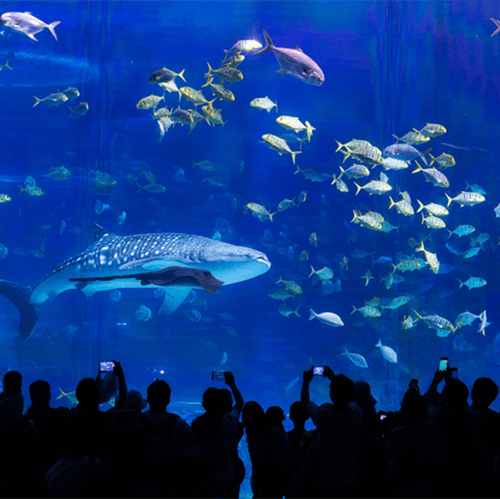 Piezo -Effekt von PZT Piezoelektrisch -Keramikmaterial