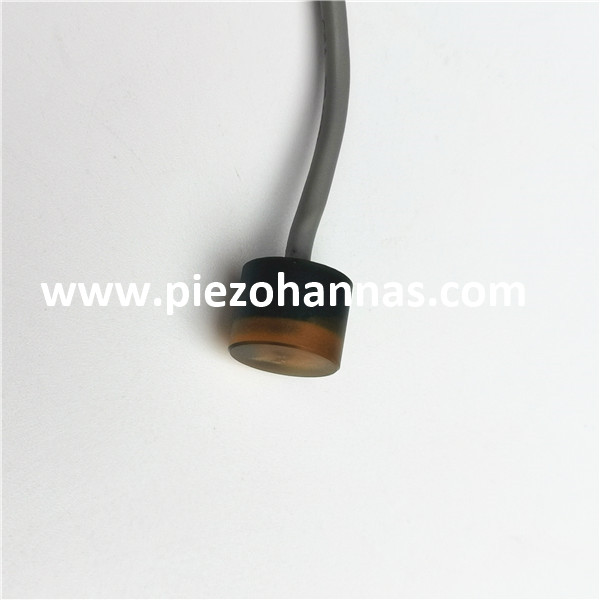 10 MHz Unterwasser -Ultraschallwandler ADCP -Akustik -Doppler -Velokimeter