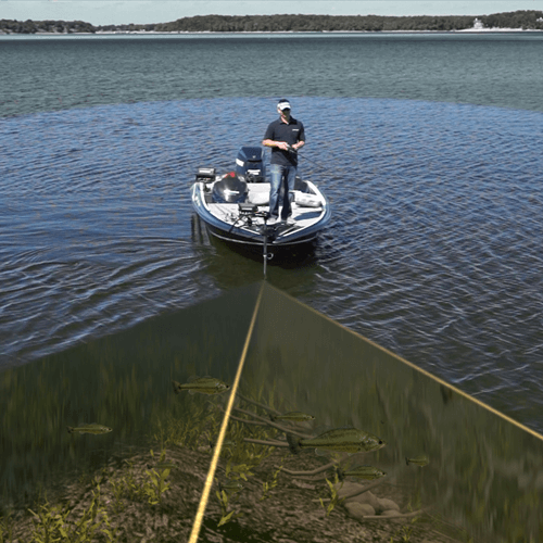 5 Dinge, die Ihr Chef über Piezo -Scheiben und Zylinder von Material wissen muss