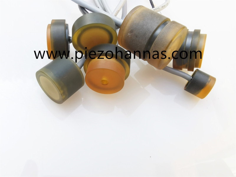 1 MHz Unterwasser -Ultraschallflussmesser -Wandler f&uuml;r Ultraschalldurchflussmeter