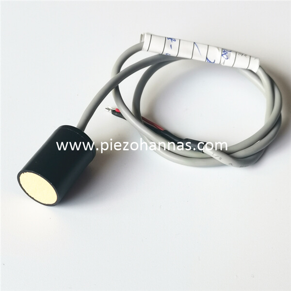 200 kHz Ultraschallwandler f&uuml;r Ultraschallanemometersensor