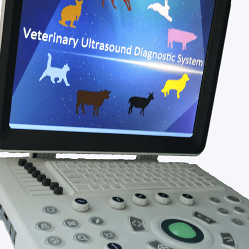 Untersuchung der PZT Piezoelektrischen Keramikmaterial -Leistungstechnologie (一)