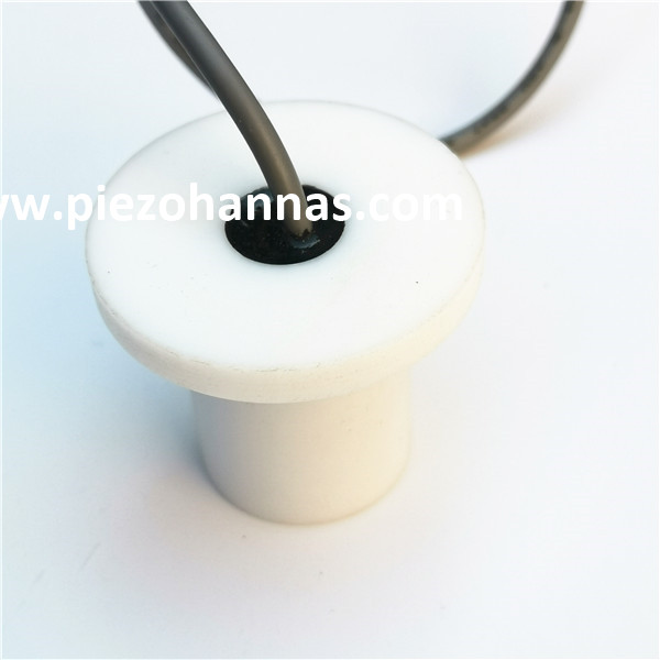 2 MHz Unterwasser -Ultraschallwandler Ultraschallflussmesser