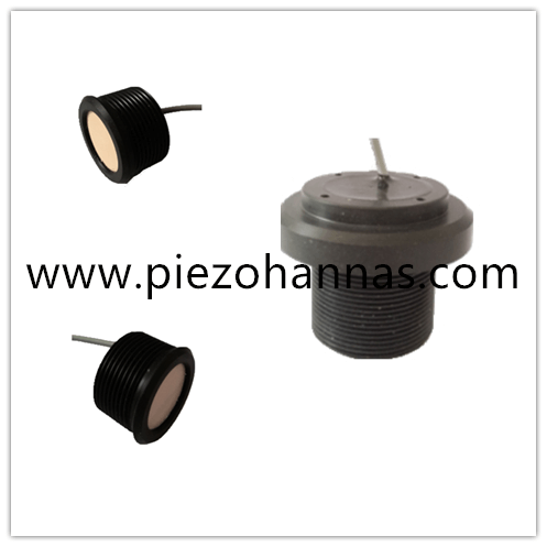 Prinzipien von Ultraschall -Wandlersensoren