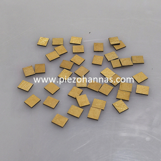 Kundenspezifische piezoelektrische keramische Scherplatten mit Vergoldung