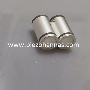 Pzt Ceramic Tube Empfindlicher piezoelektrischer Wandler